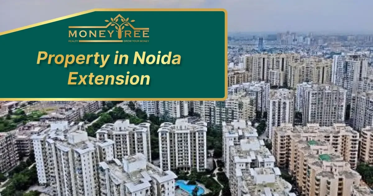 Property in Noida Extension | Buy Property in New Noida